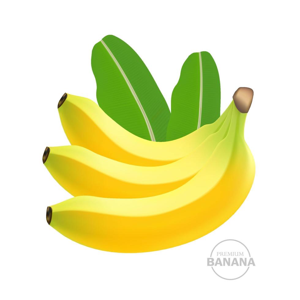 plátano Fresco Fruta gráfico vector .