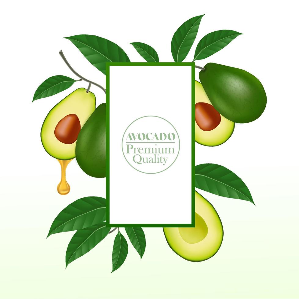 Fresh avocado for good health vector illustration