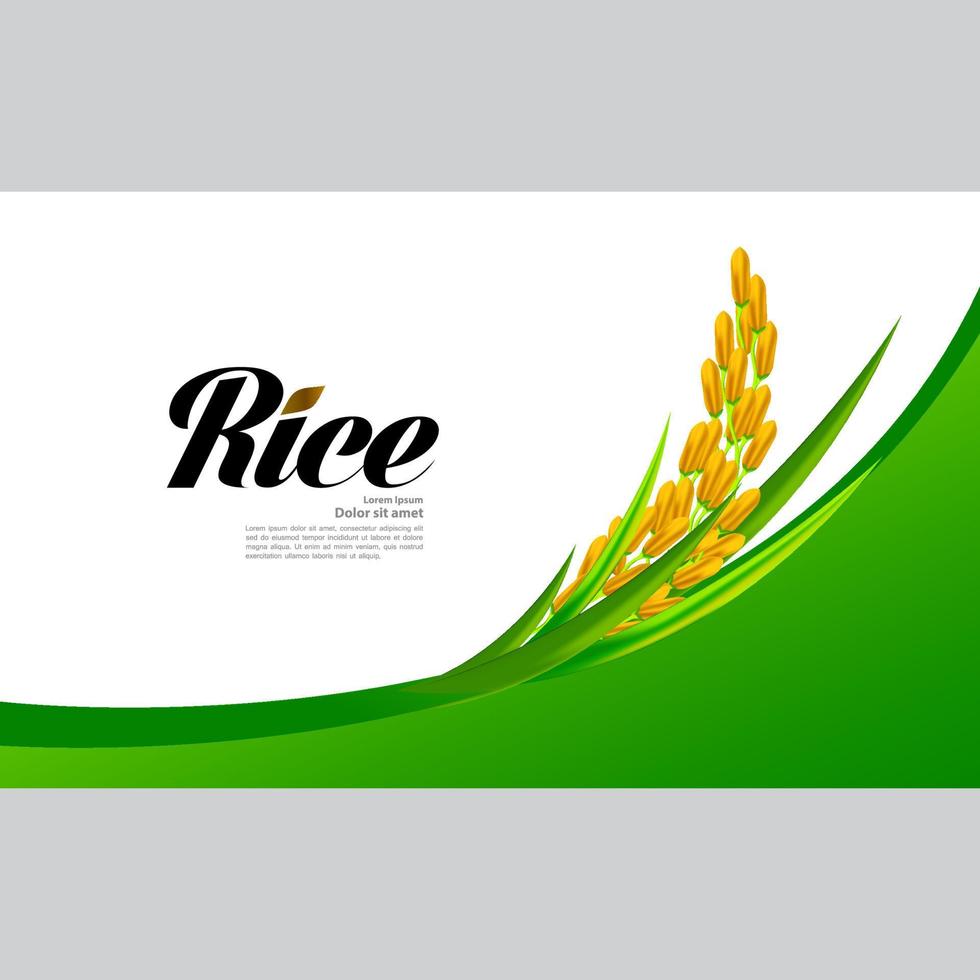 Premium Rice great quality design concept  vector. vector