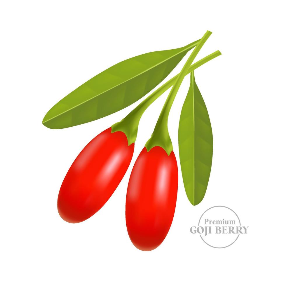 Goji berry serum for skin care package illustration vector