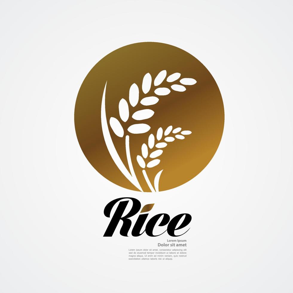 Premium Rice great quality design concept  vector. vector