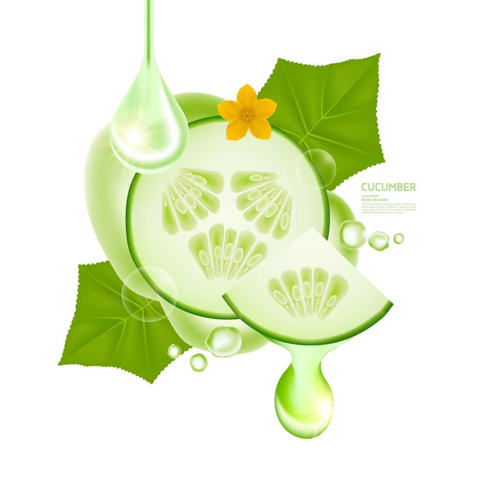 Pepino suero para piel cuidado producto vector ilustración