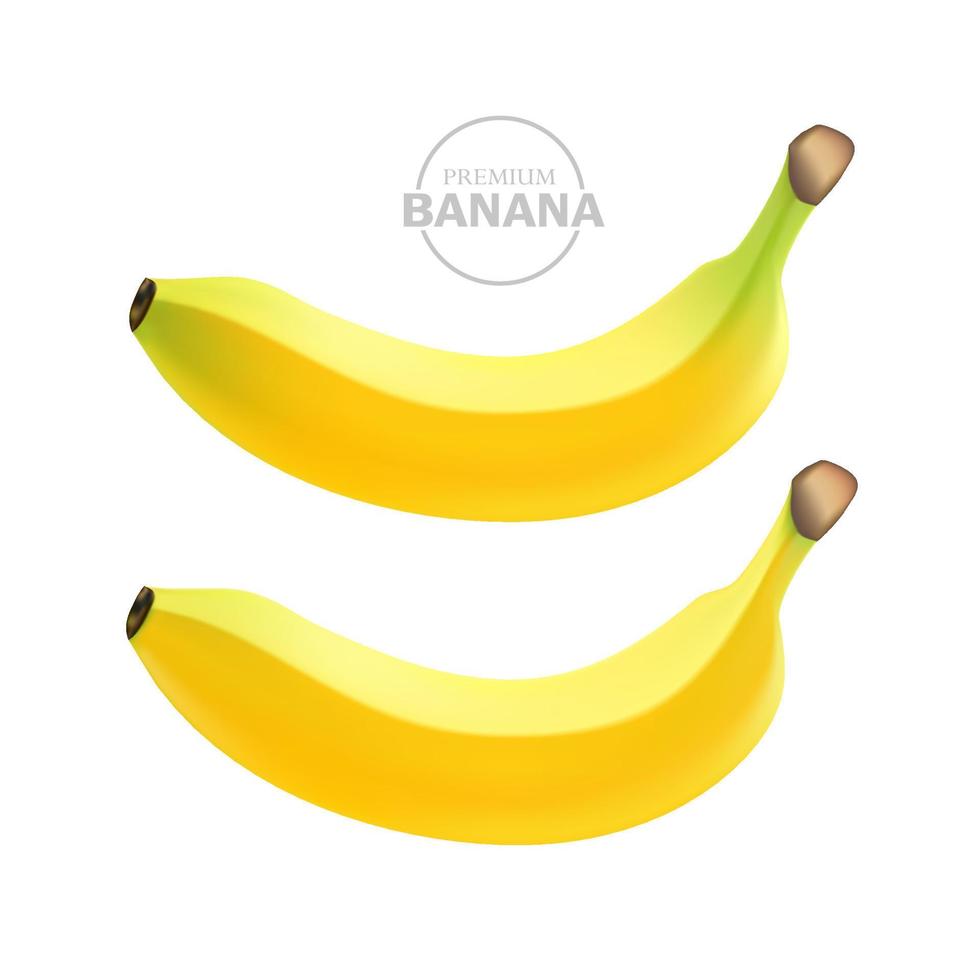 Banana fresh fruit graphic vector  .