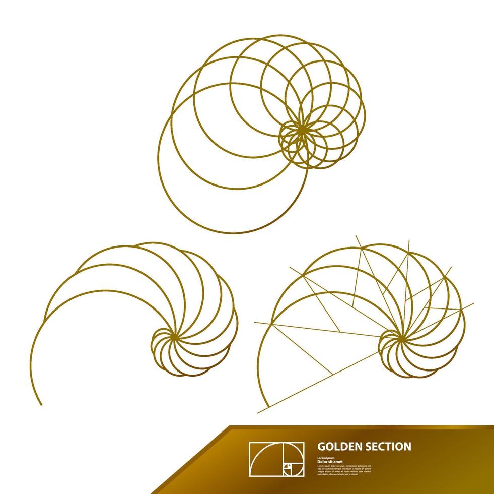 Golden ratio for creative design section vector illustration.