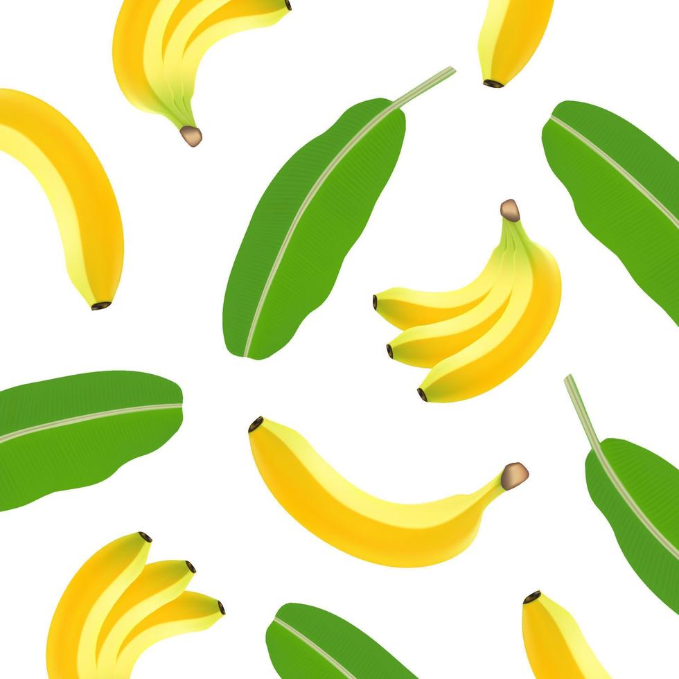 Banana fresh fruit graphic vector  .