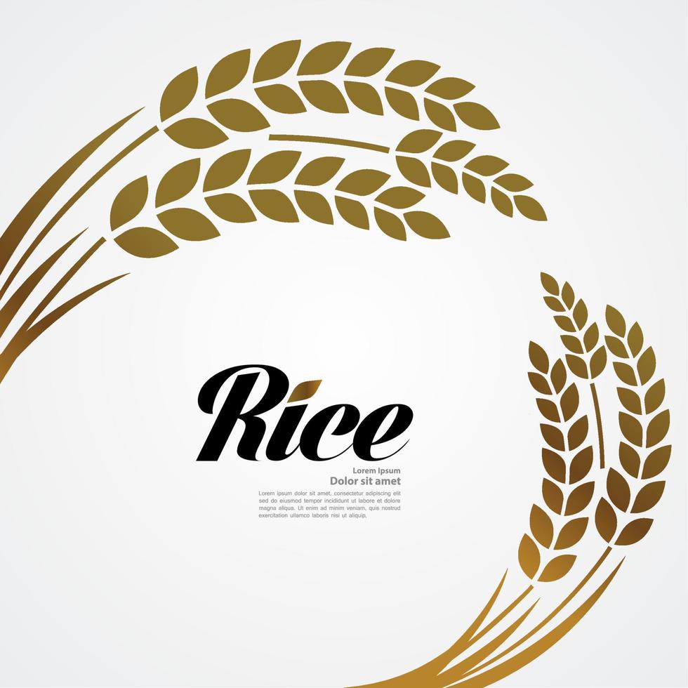 Premium Rice great quality design concept  vector. vector