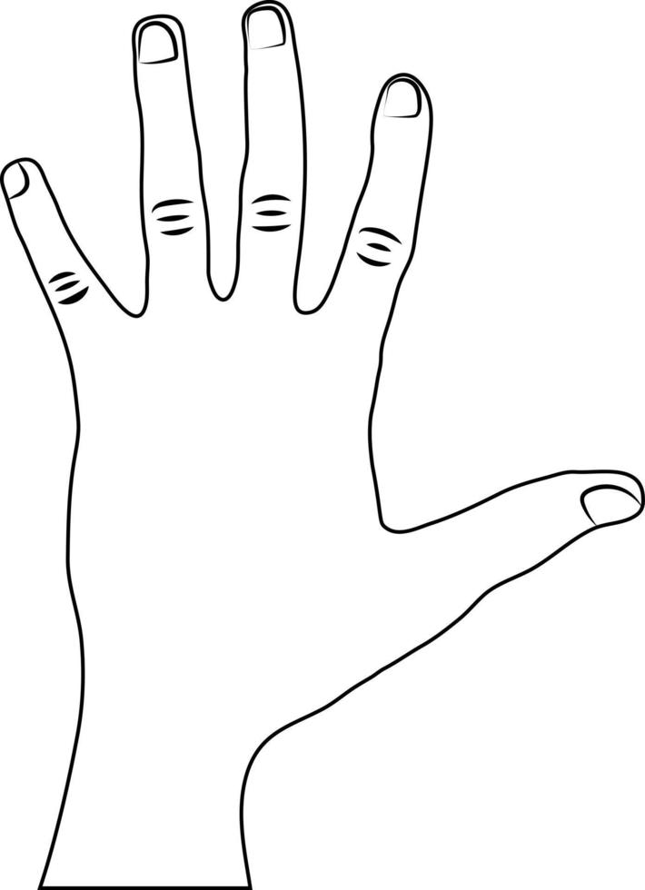 Hand Drawn Line Drawing of a Couple of a Human Hand vector