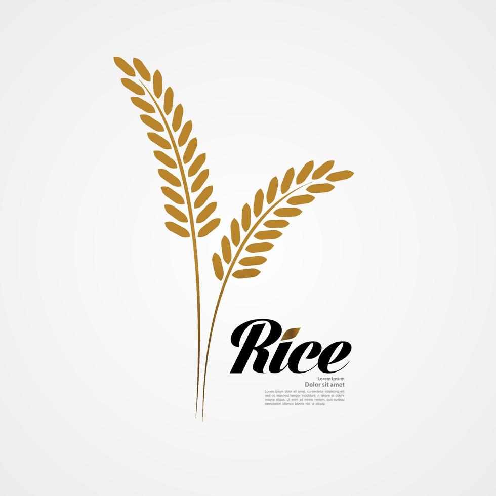 Premium Rice great quality design concept  vector. vector