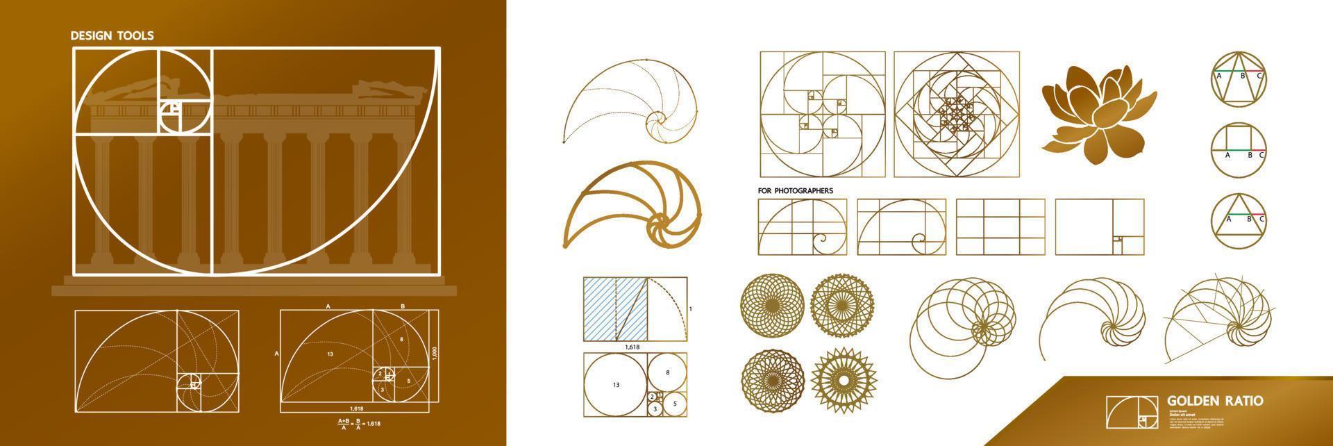 Golden ratio for creative design section vector illustration.