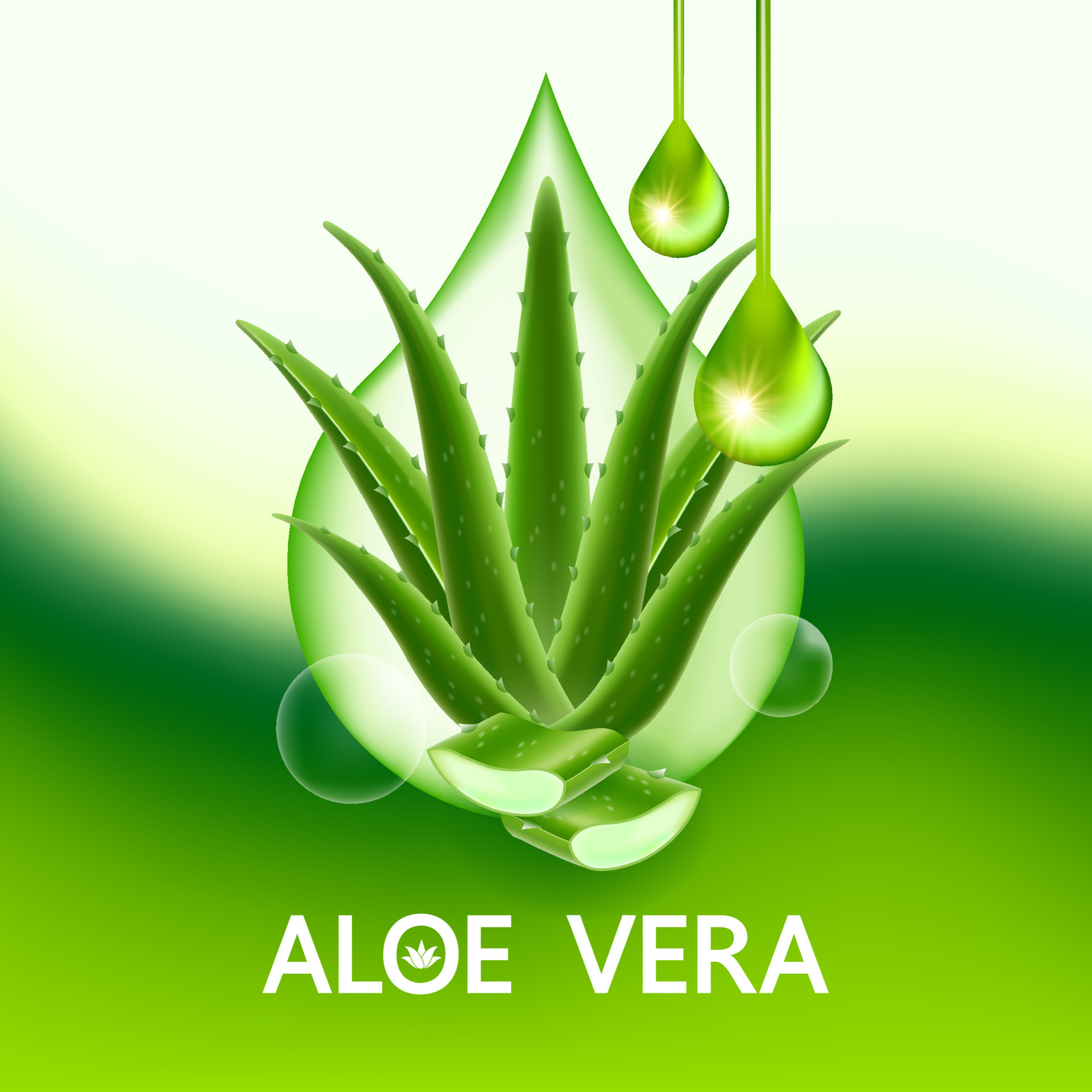aloe vera collagen and serum for skin care cosmetic vector 21426599