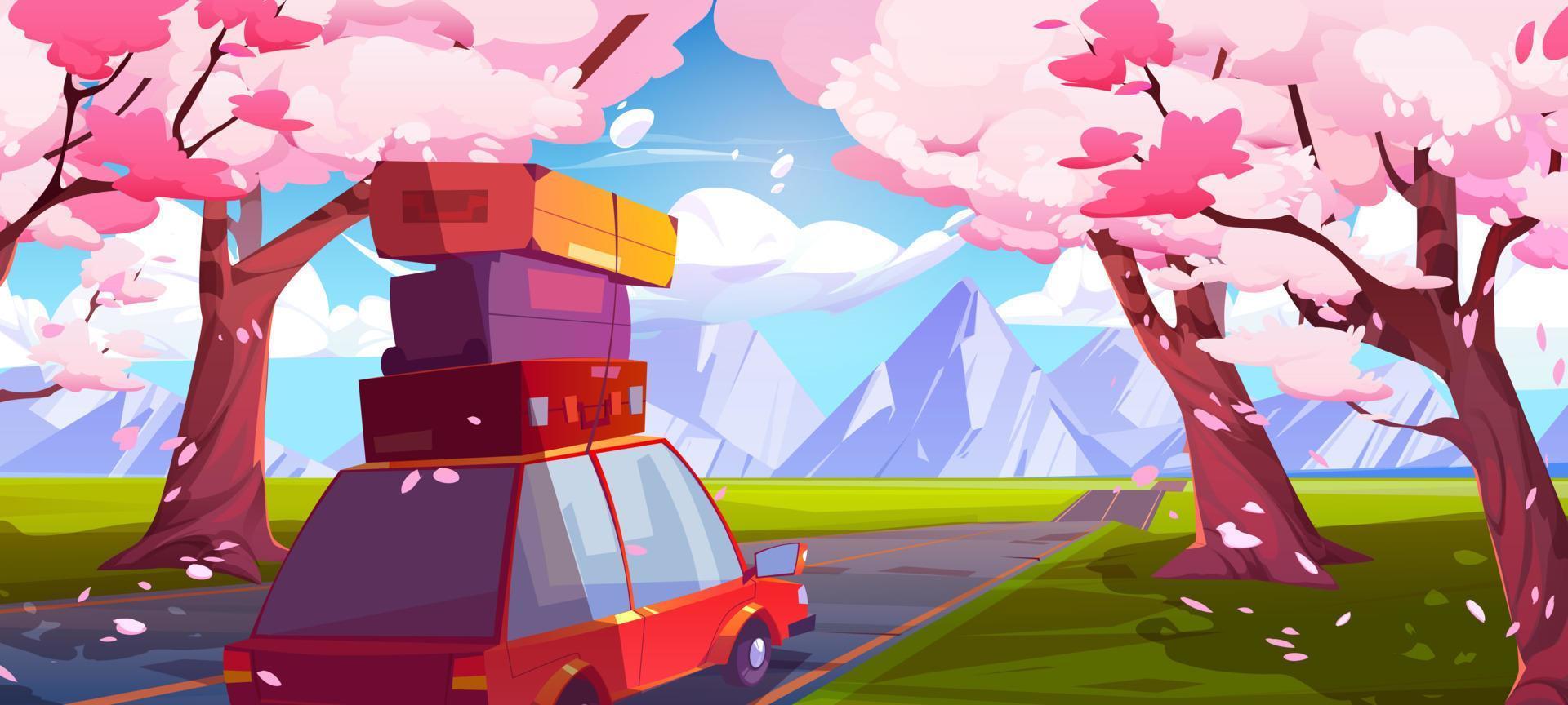 Sakura blossom and car on road, mountain landscape vector