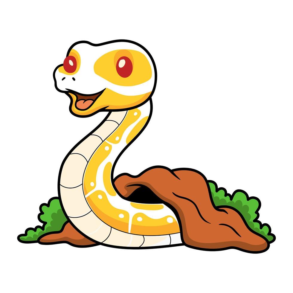 Cute albino ball python snake cartoon out from hole vector