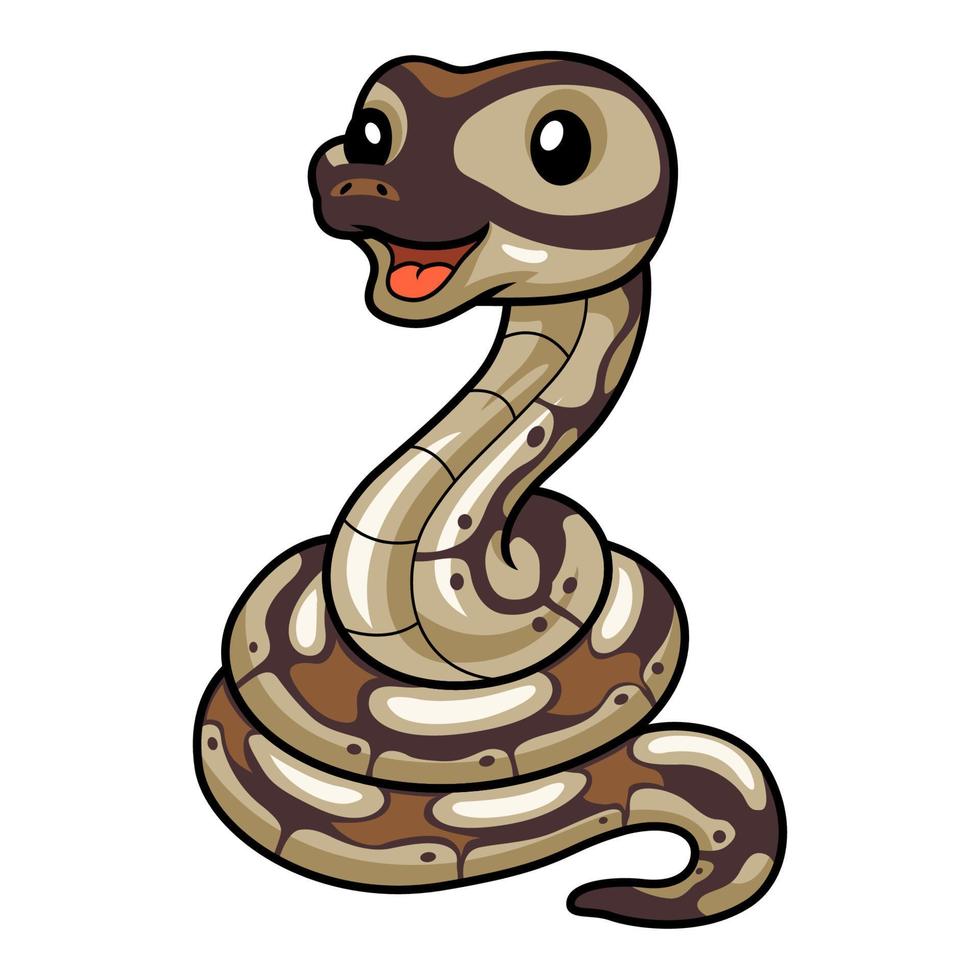 Cute black head butter ball python cartoon vector