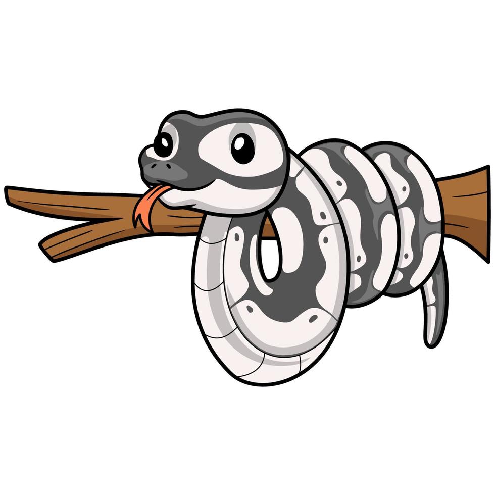 Cute axanthic ball python cartoon on tree branch vector