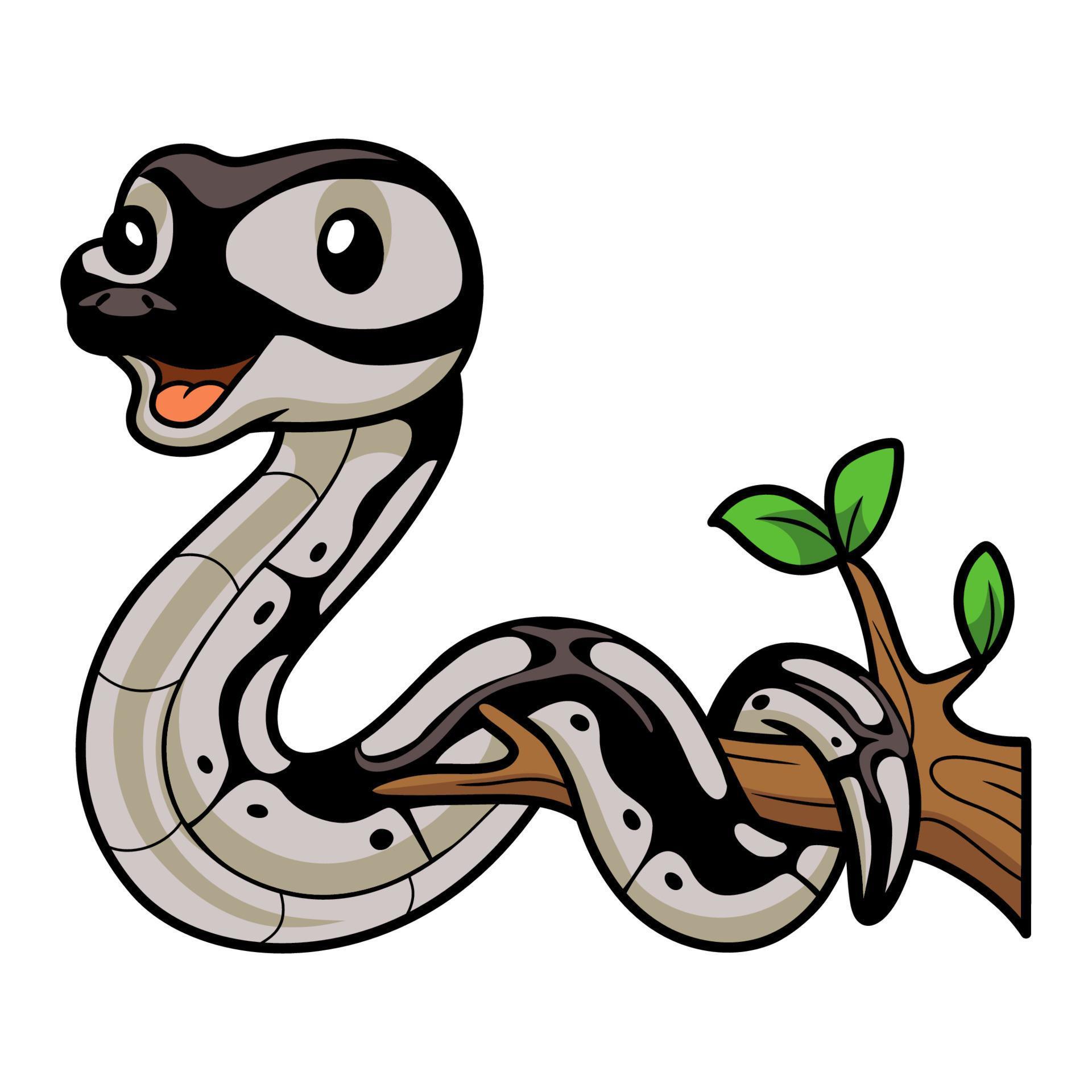 Cute python snake cartoon on tree branch 21429112 Vector Art at Vecteezy
