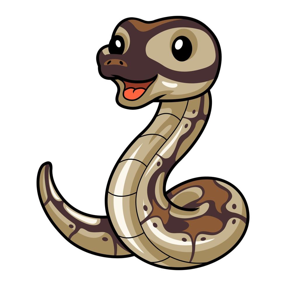 Cute black head butter ball python cartoon vector