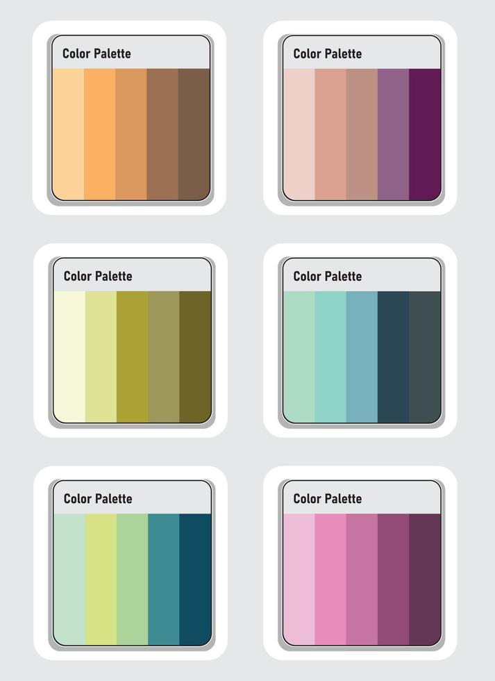 vector color paleta conjunto