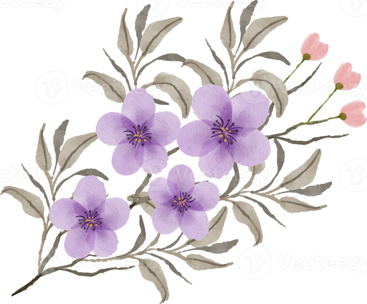 bellissimo acquerello fiore preparativi png