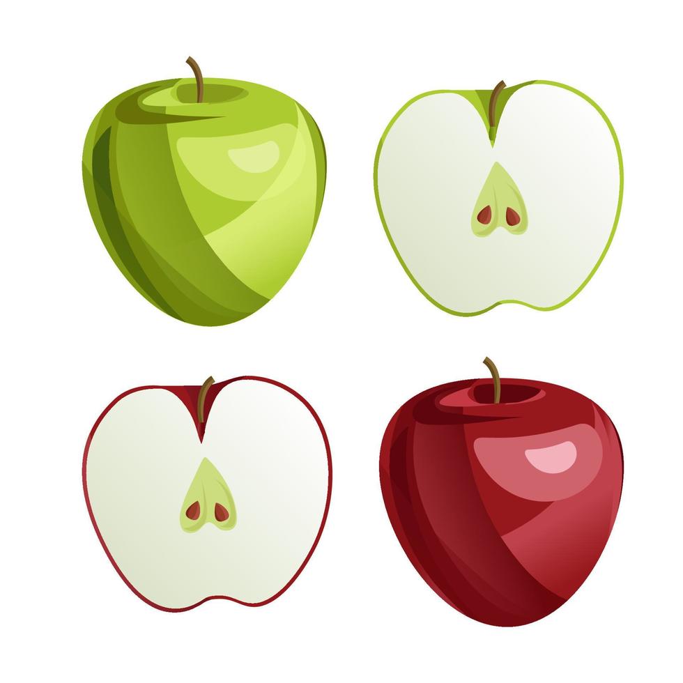 Green and Red Apples with Green Leaves and Apple Slice Vector Illustration. Realistic vector