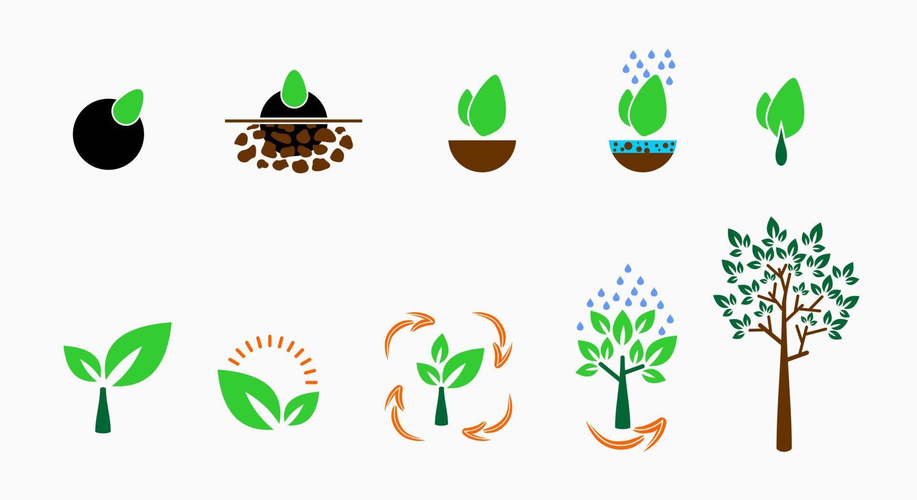 Seed evolution into big tree, plant icon, concept icon. plant growth process. The environment that affects plant growth and caring for plants vector