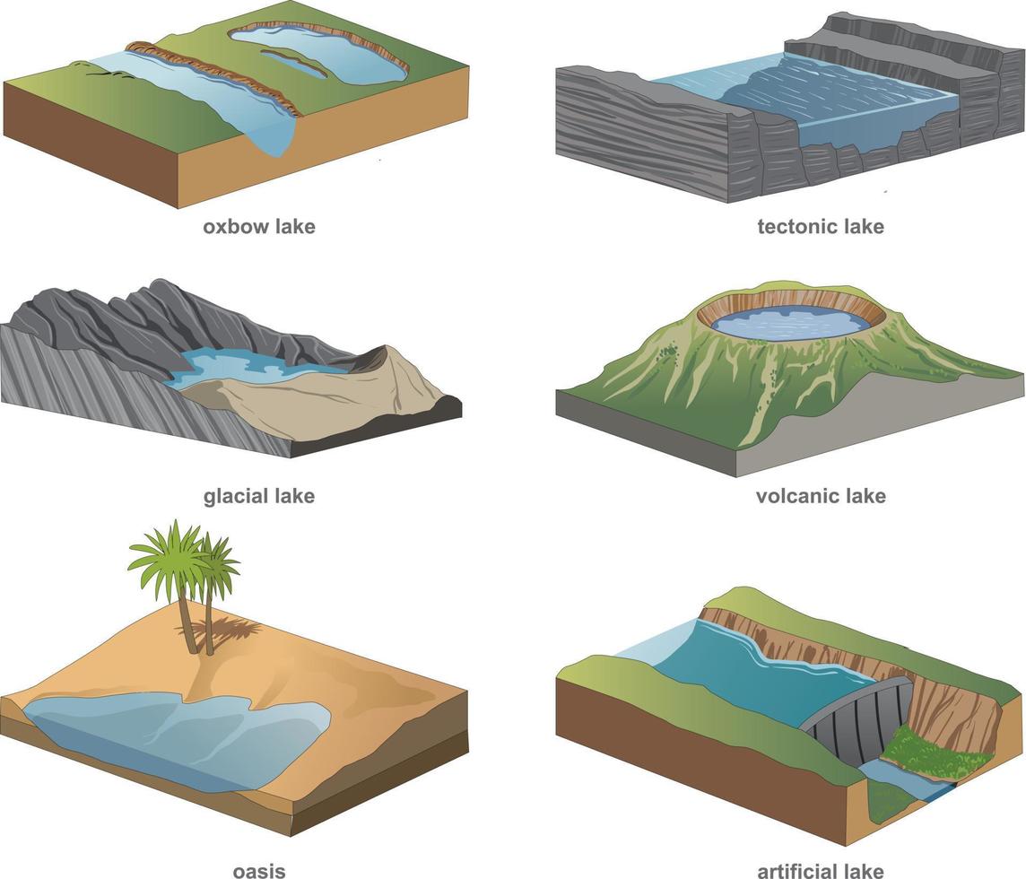 classification of lakes diagram vector