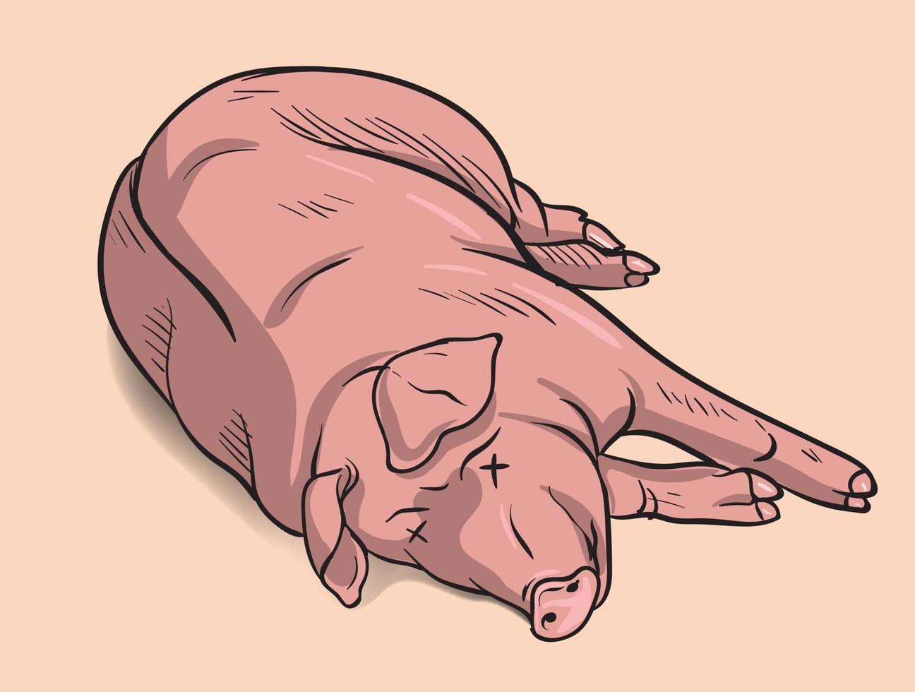 dead pig illustration vector