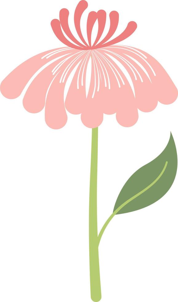Flower vector design