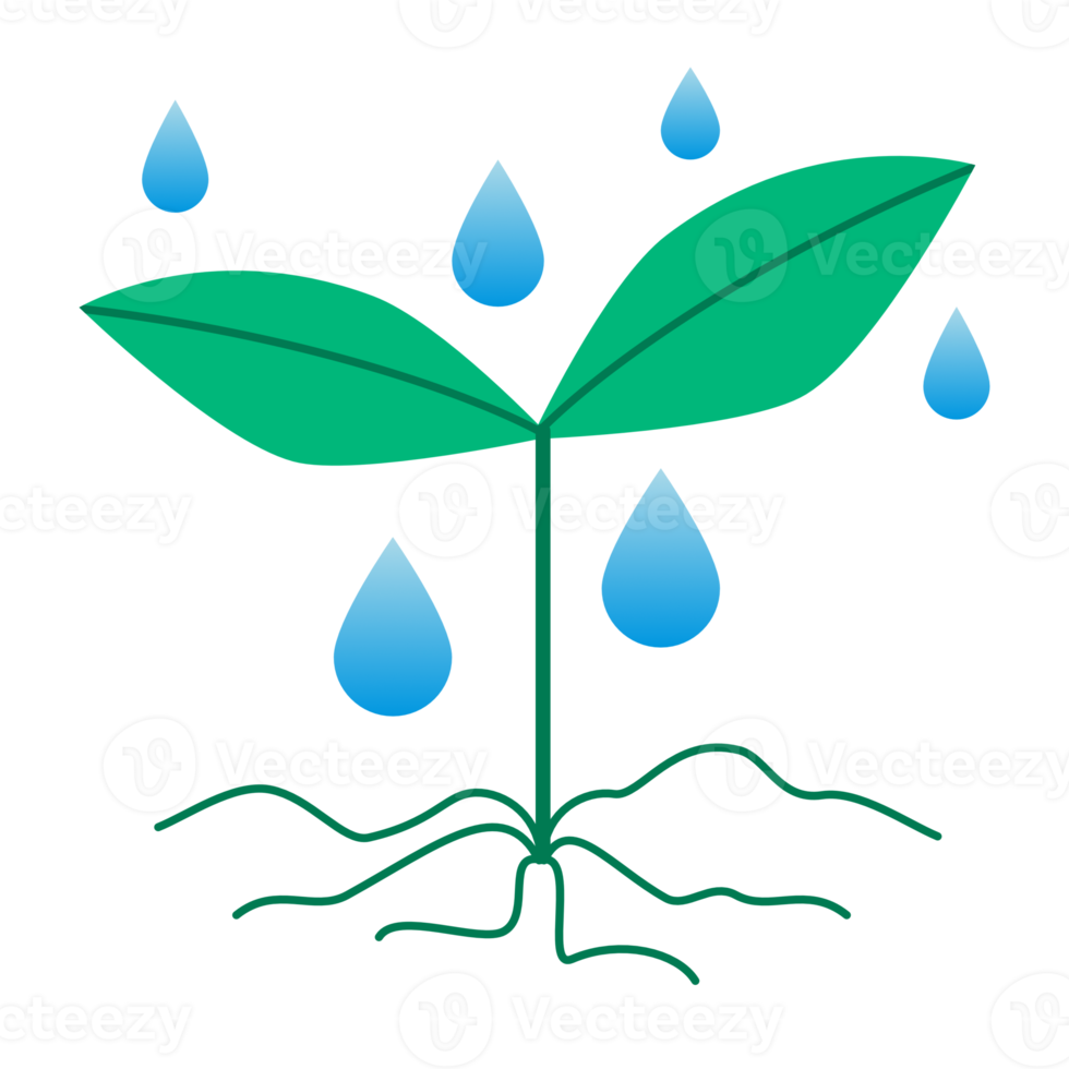 fröplanta och vattning png