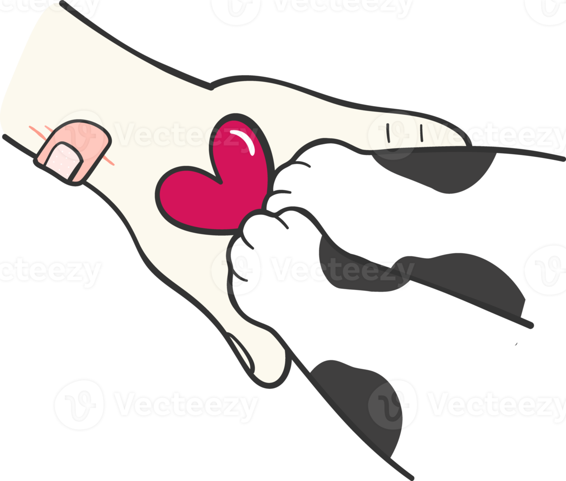süß Kätzchen Katze Pfote Hand auf Mensch Hand Liebe und Mannschaft Arbeit Konzept Karikatur Zeichnung png