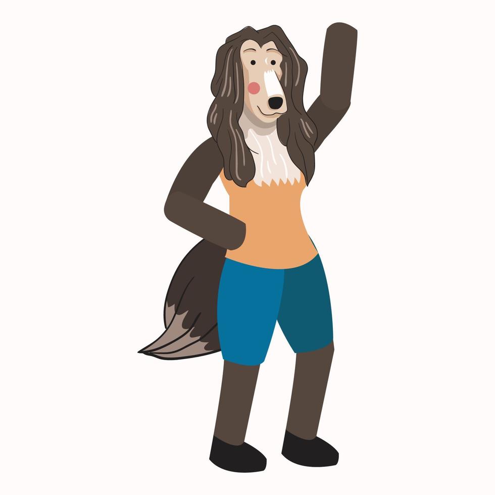 Illustration of an Afghan Hound vector