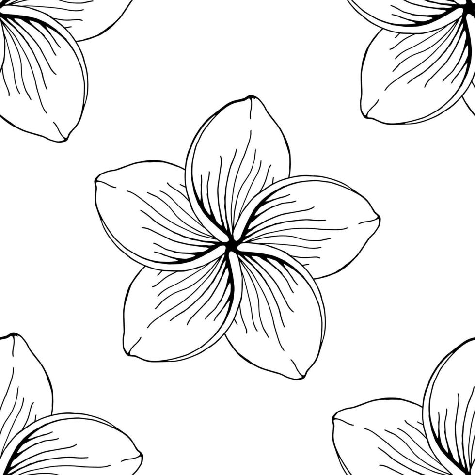 floral negro y blanco patrón, ilustración en vector, plano estilo vector