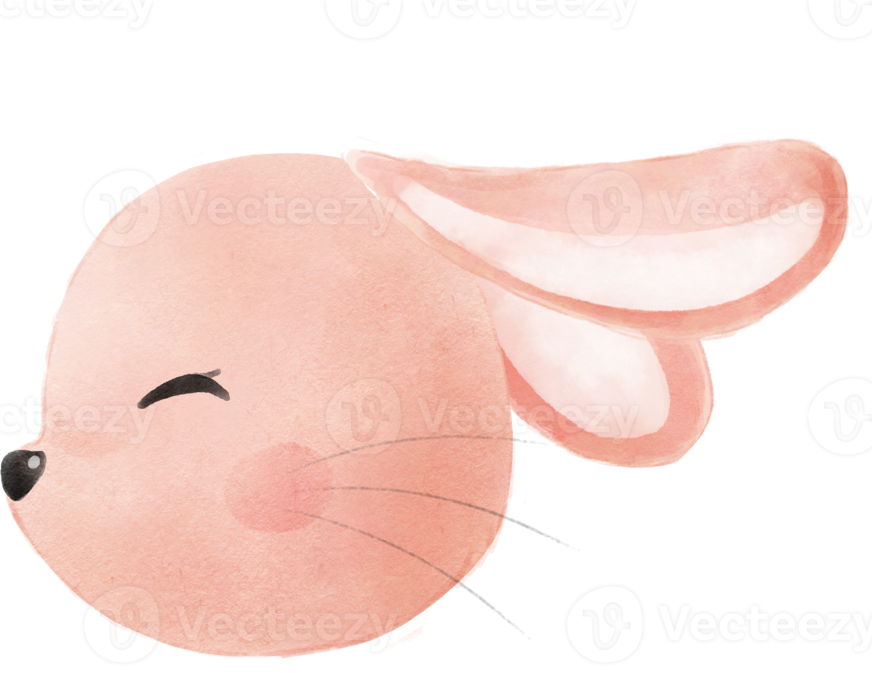 cute sweet kawaii happy smile baby bunny rabbit watercolour cartoon  kid animal spring Easter egg png