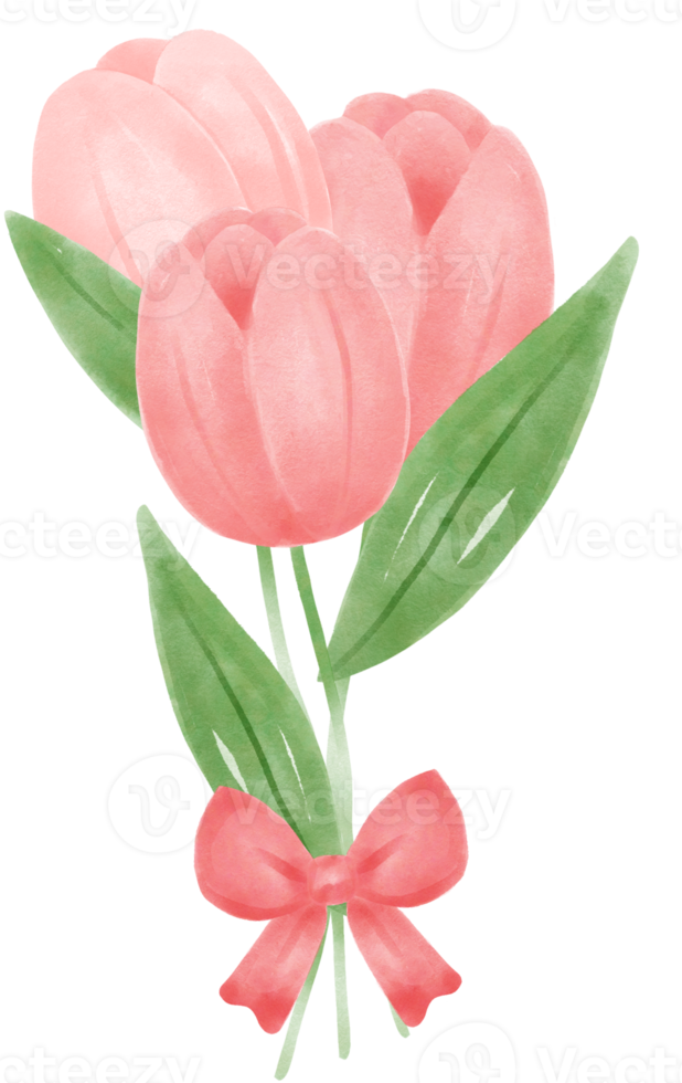 cute sweet pink tulip flowers watercolour hand painting cartoon doodle spring love season png