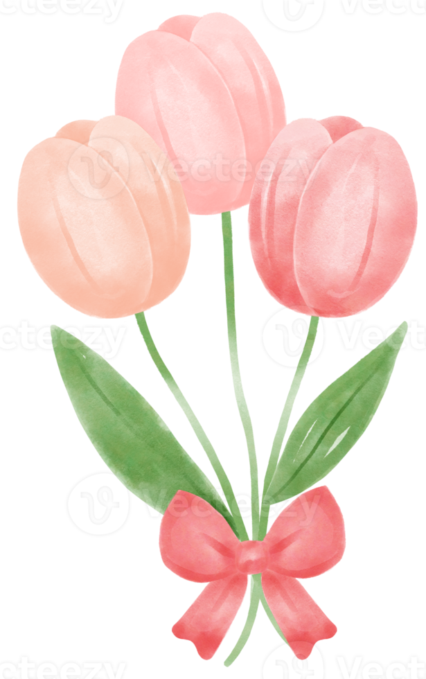 cute sweet pink tulip flowers watercolour hand painting cartoon doodle spring love season png