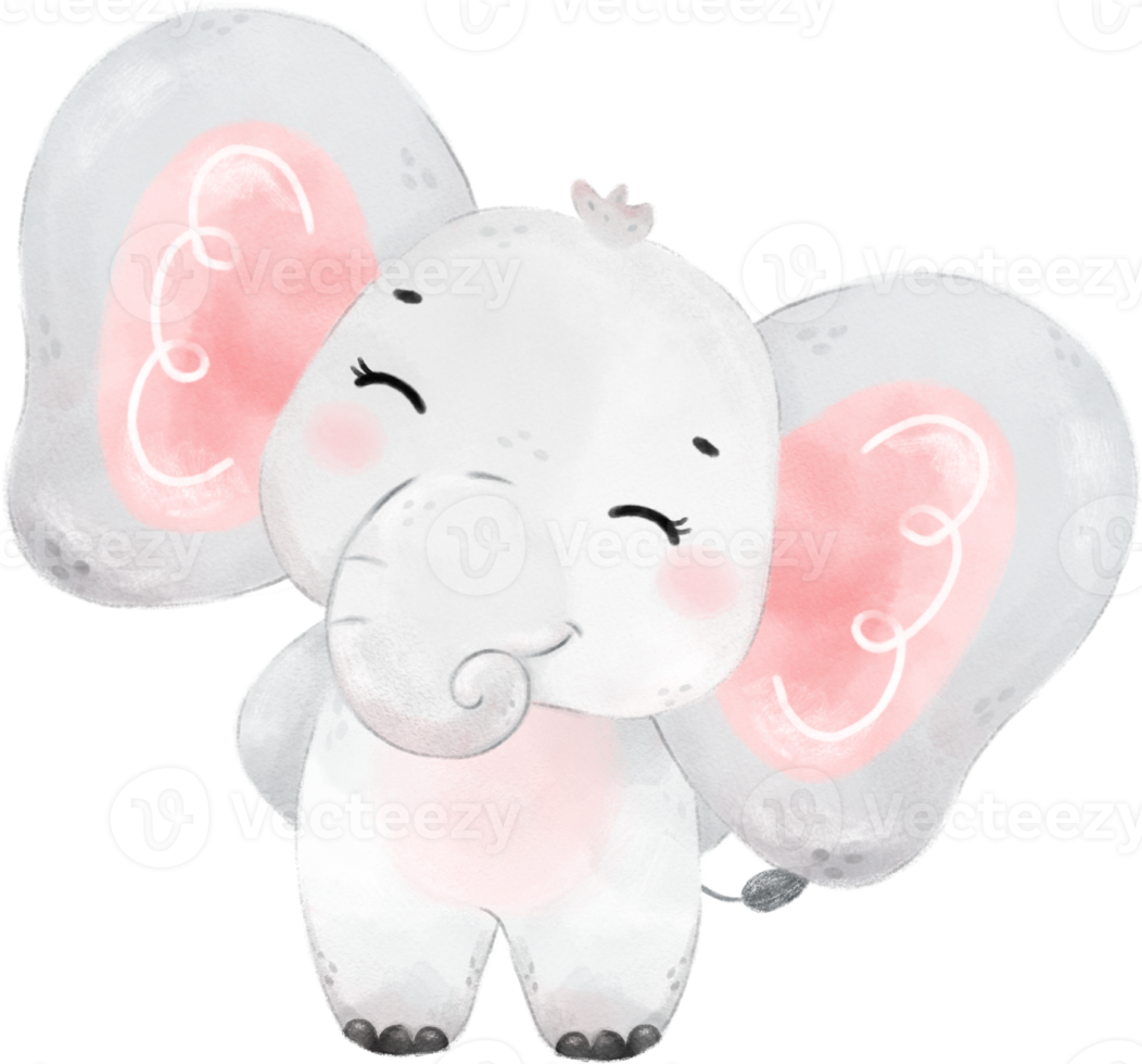 linda bebé elefante fauna silvestre animal sueño rosado niña bebé ducha guardería Arte acuarela ilustración png