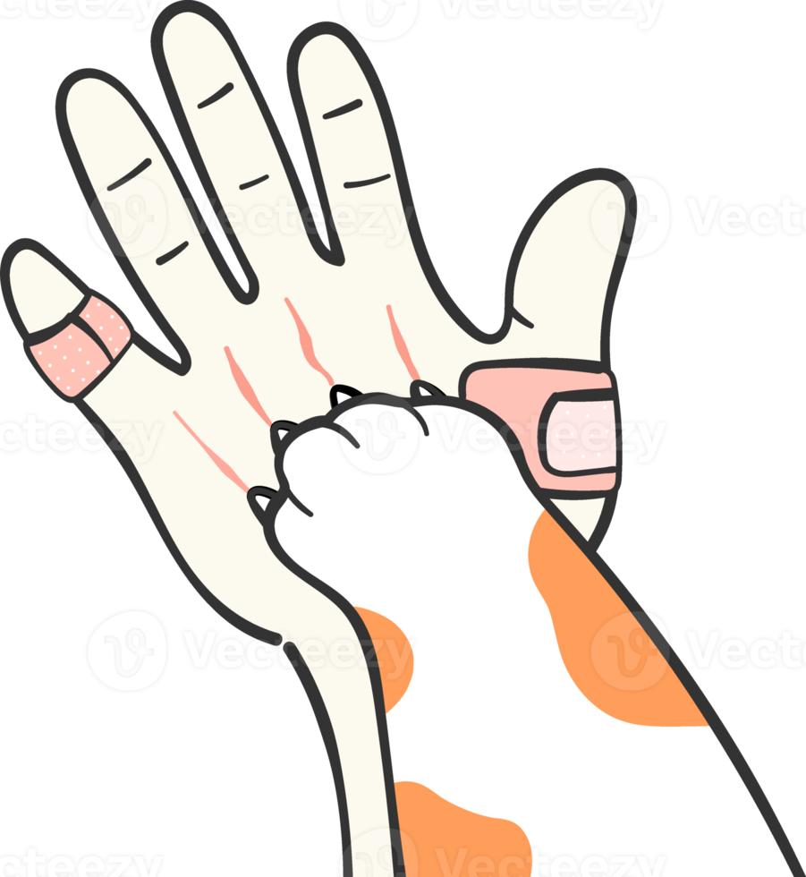 cute kitten cat paw hand on human hand love and team work concept cartoon drawing png