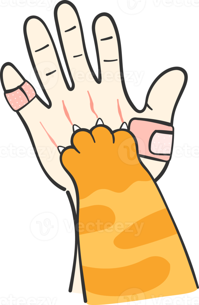 cute kitten cat paw hand on human hand love and team work concept cartoon drawing png