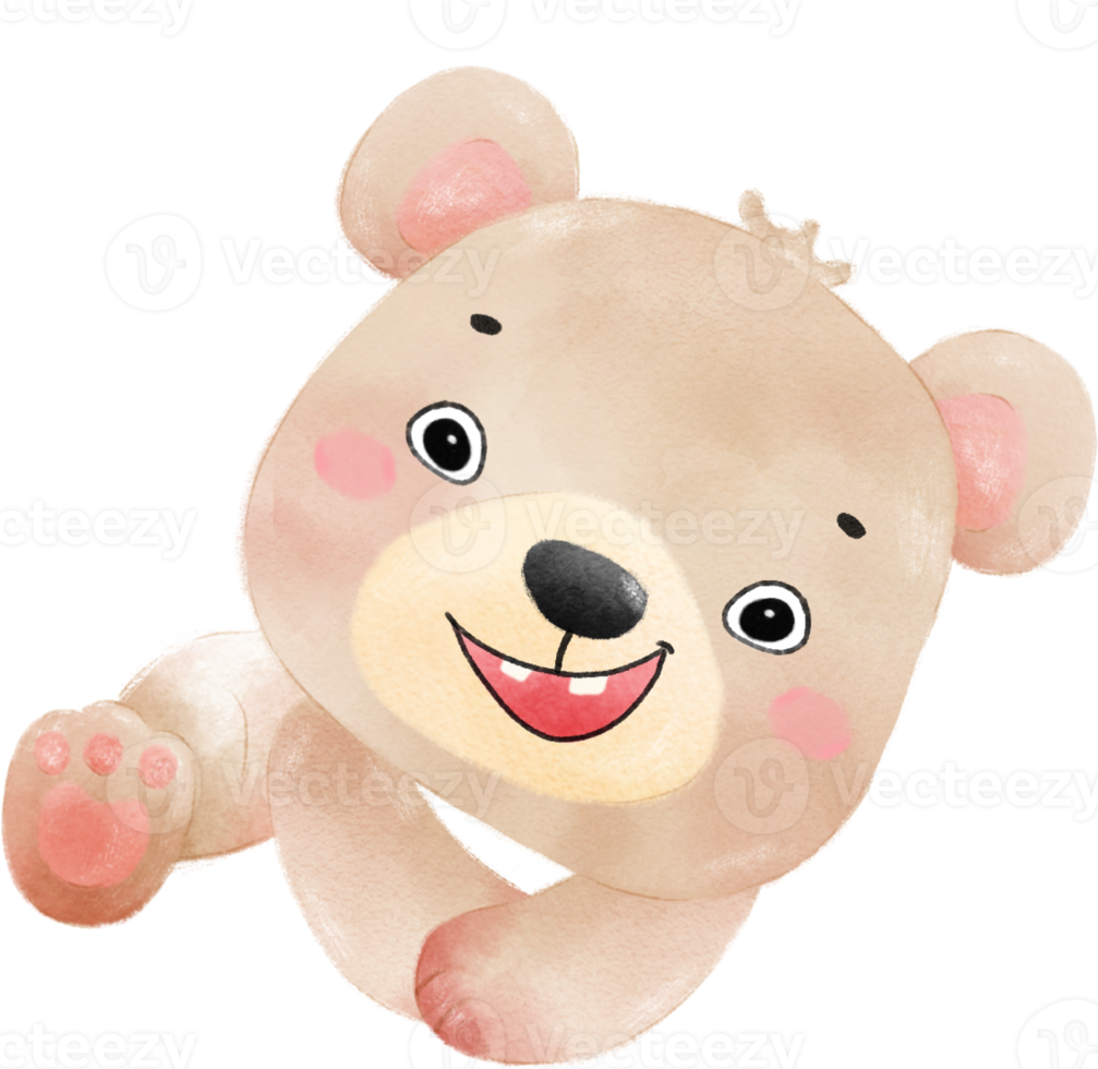 linda contento inocencia cara adorable bebé marrón osito de peluche oso guardería acuarela niño animal ilustración png