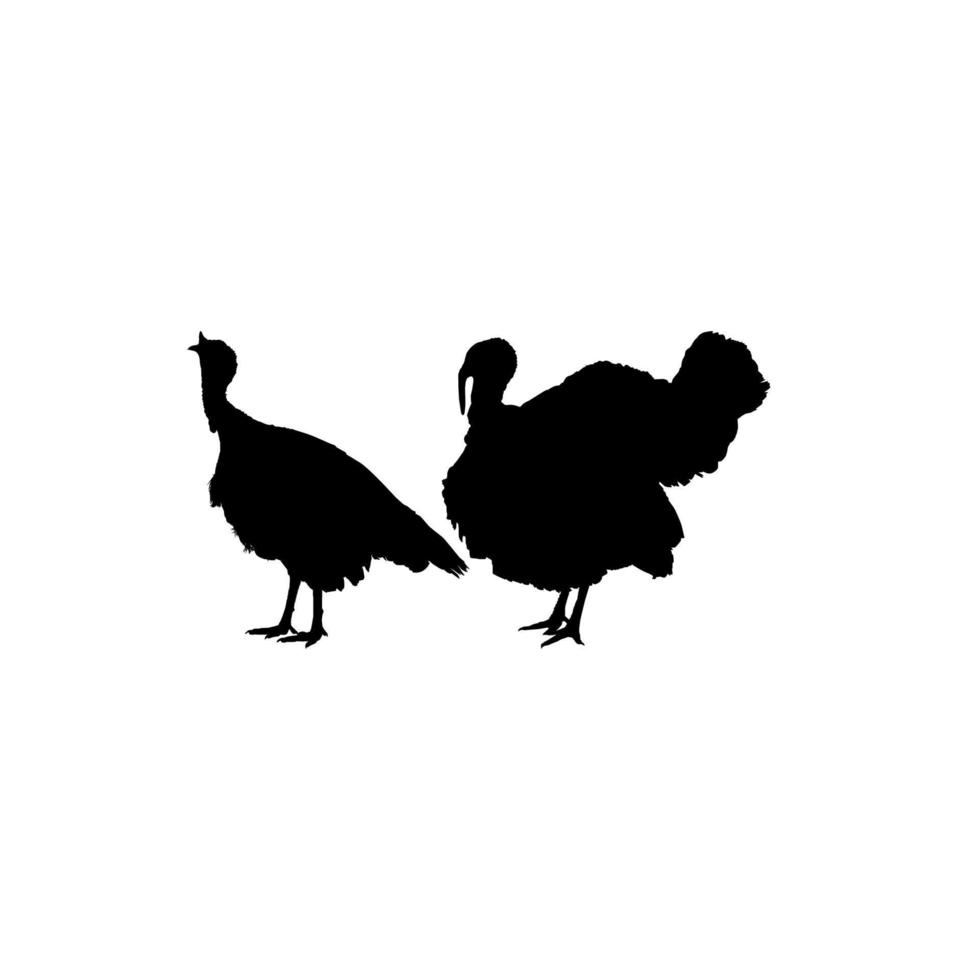 Pair of Turkey Silhouette for Art Illustration, Pictogram or Graphic Design Element. The Turkey is a large bird in the genus Meleagris. Vector Illustratio