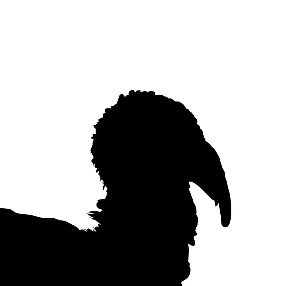 Turkey Head Silhouette for Art Illustration, Pictogram or Graphic Design Element. The Turkey is a large bird in the genus Meleagris. Vector Illustration