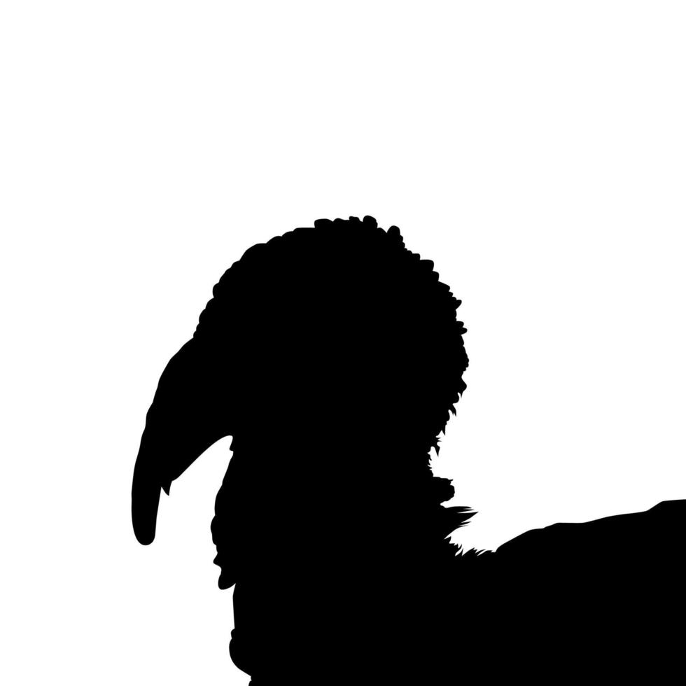 Turkey Head Silhouette for Art Illustration, Pictogram or Graphic Design Element. The Turkey is a large bird in the genus Meleagris. Vector Illustration