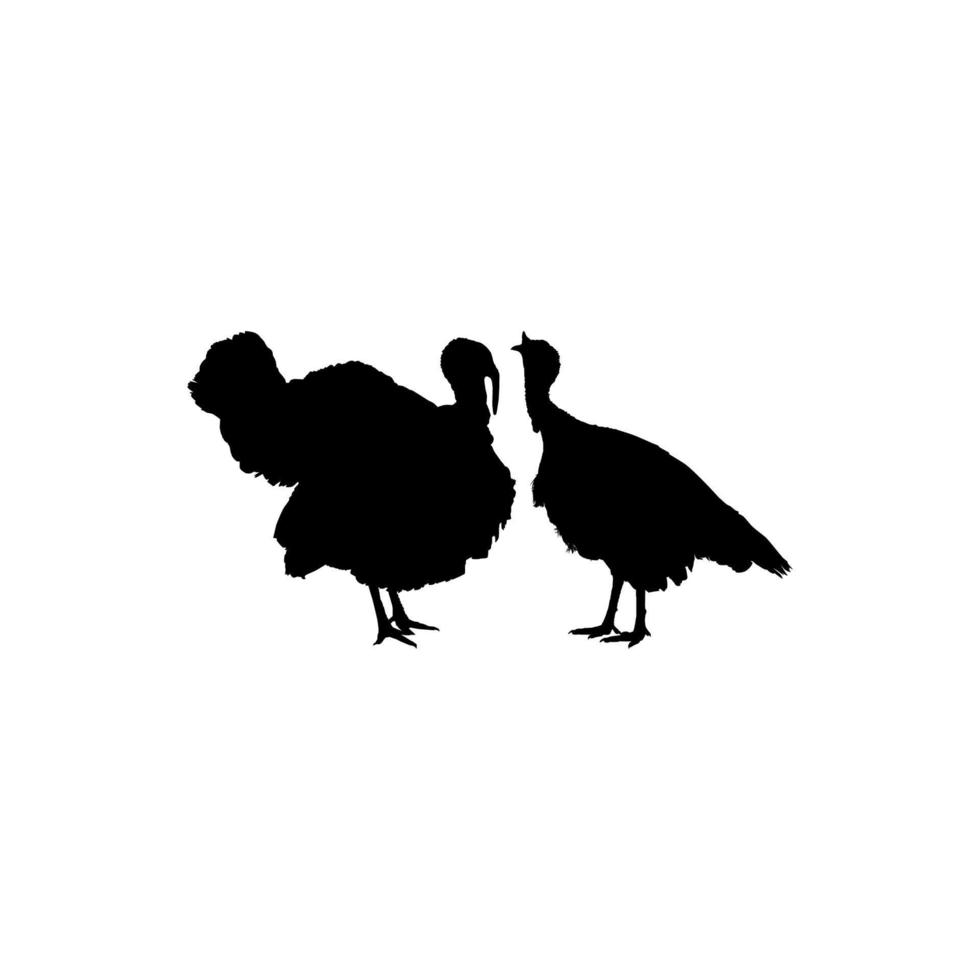 Pair of Turkey Silhouette for Art Illustration, Pictogram or Graphic Design Element. The Turkey is a large bird in the genus Meleagris. Vector Illustratio