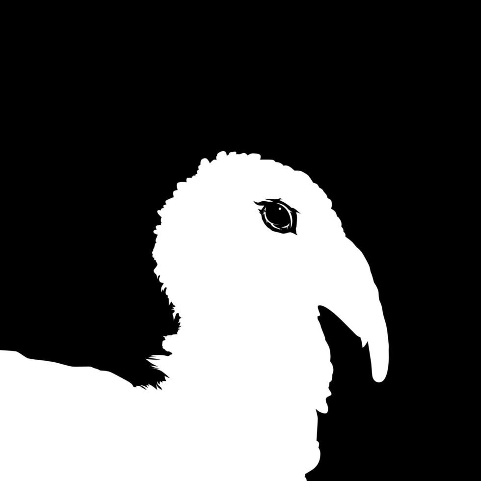 Turquía cabeza silueta para Arte ilustración, pictograma o gráfico diseño elemento. el Turquía es un grande pájaro en el género meleagris. vector ilustración