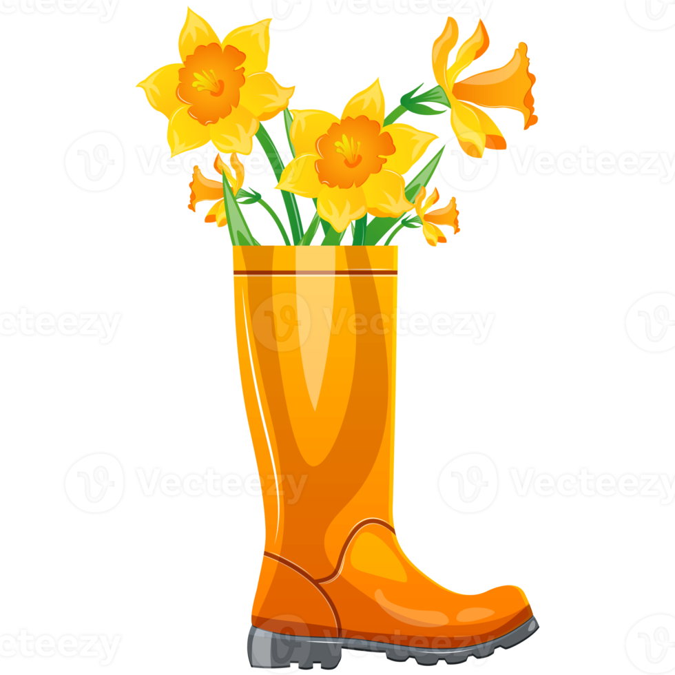 Rubber boot with daffodils. Cute rain boot with flower plants. Cartoon spring print, card, poster  illustration png