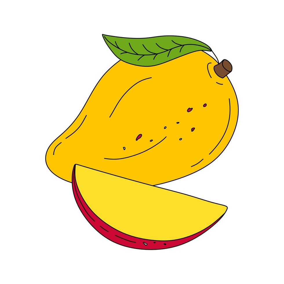 Mango doodle Vector color illustration isolated on white background