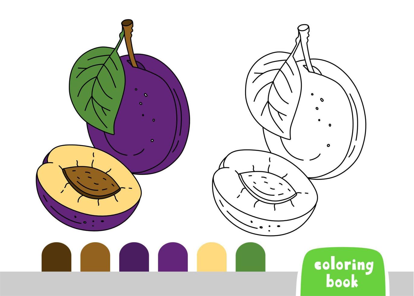 Coloring Book for Kids Plum Page for Books Magazines Coloring Vector Illustration