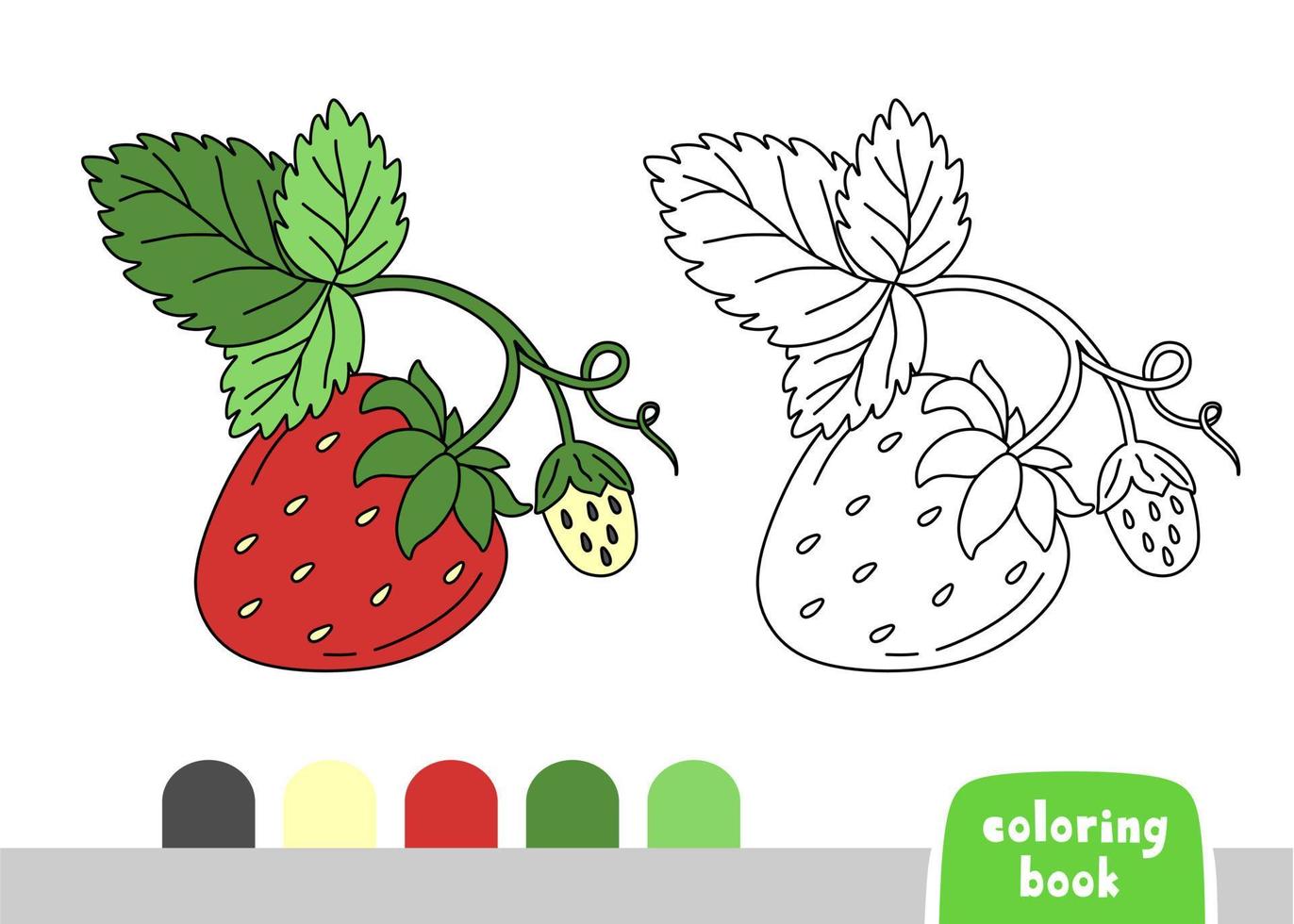 Coloring Book for Kids Strawberry Page for Books Magazines Coloring Vector Illustration