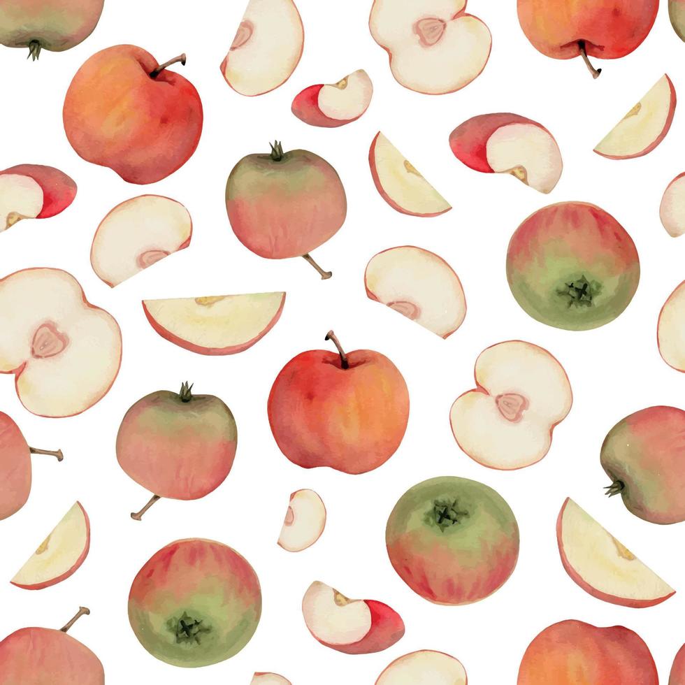 Hand drawn watercolor apple fruits, ripe, full and slices red and green with leaves. Seamless pattern. Isolated object on white background. Design for wall art, wedding, print, fabric, cover, card. vector