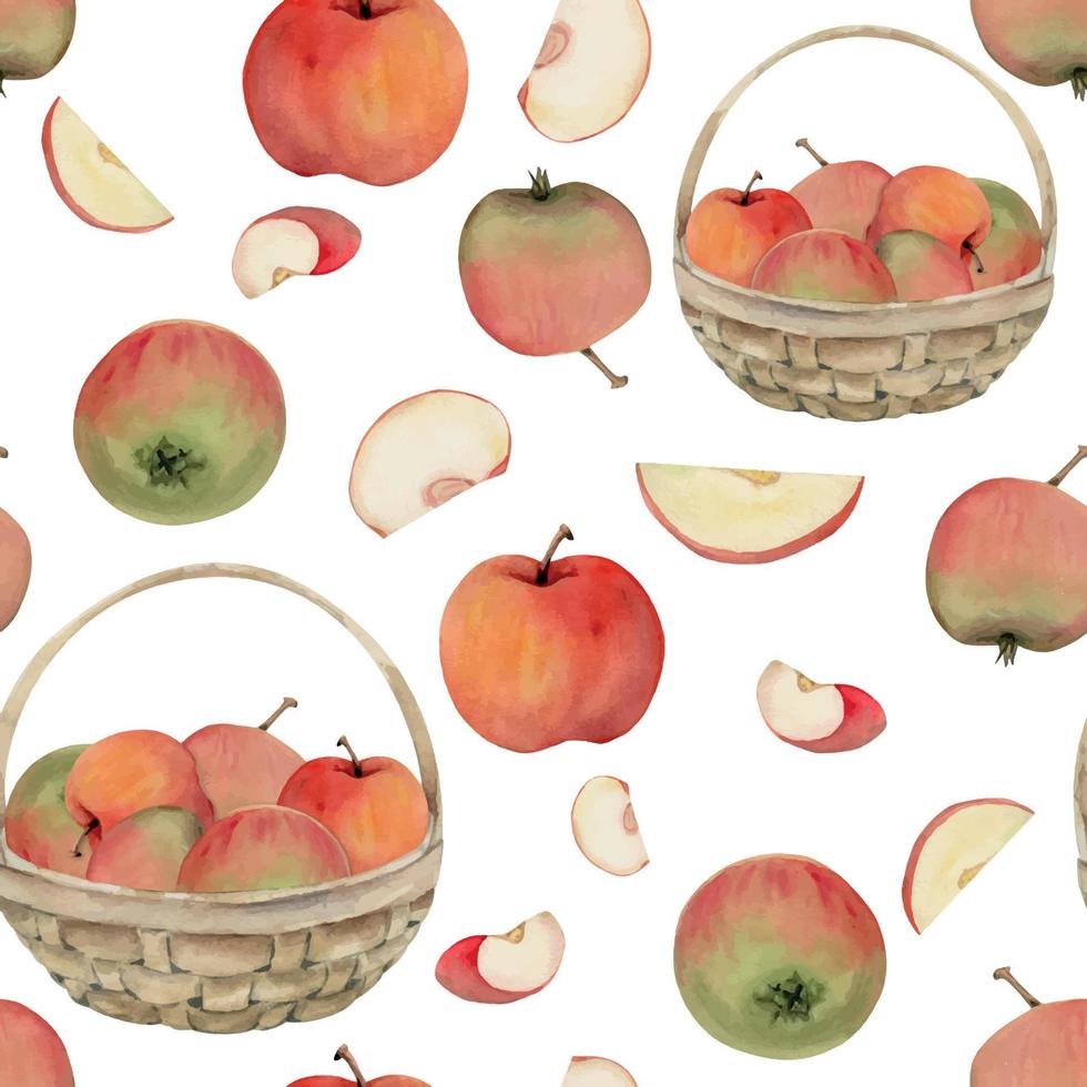 Hand drawn watercolor apple fruits in basket, ripe, full and slices red and green. Seamless pattern. Isolated object on white background. Design for wall art, wedding, print, fabric, cover, card. vector