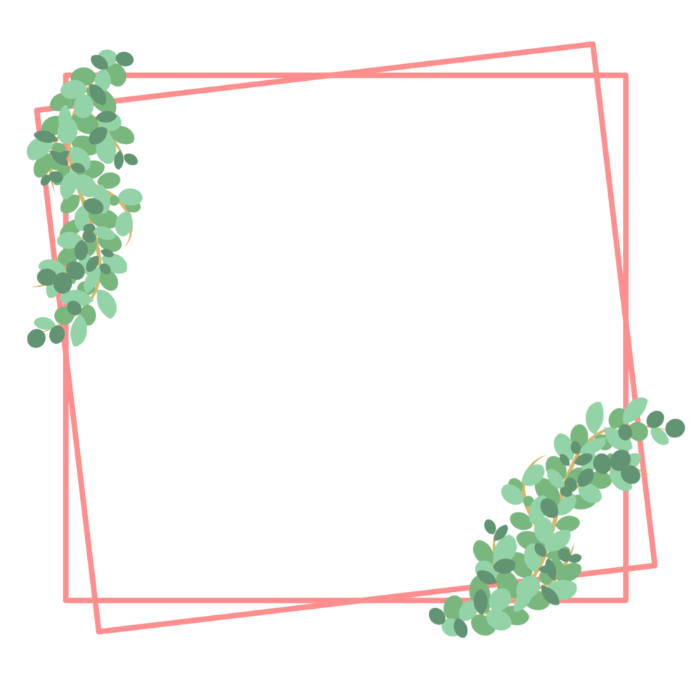 Pink border with leaf png